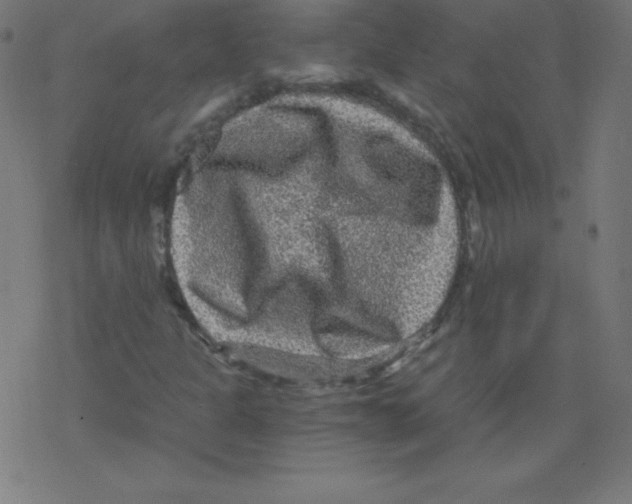 X0000078301301200612011824