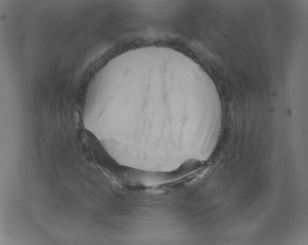 X0000078301302200612011824