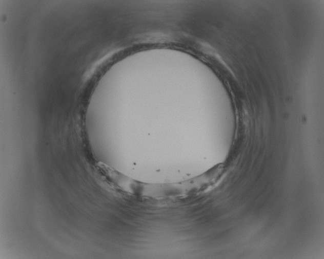 X0000078301304200612011824