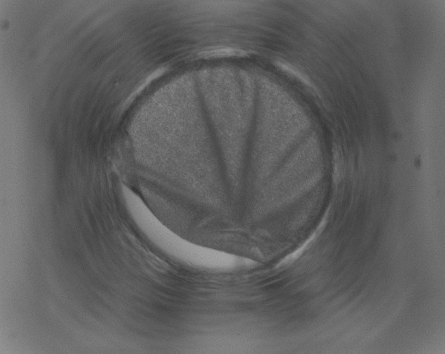 X0000078301305200612011824