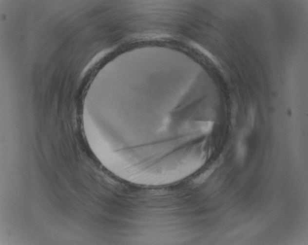 X0000078301306200612011824