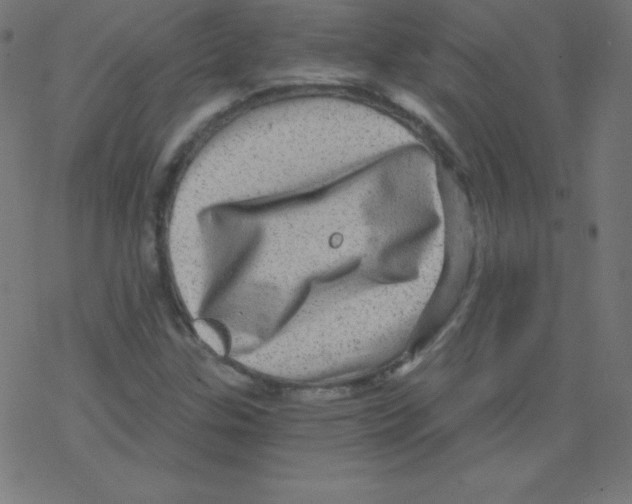 X0000078301307200612011824