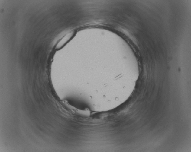 X0000078301308200612011824