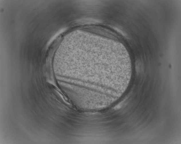 X0000078301309200612011824