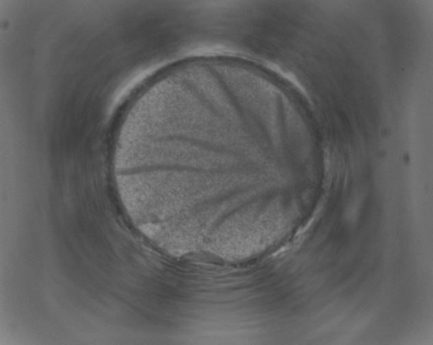 X0000078301311200612011825