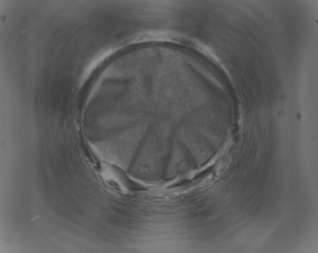 X0000078301312200612011825