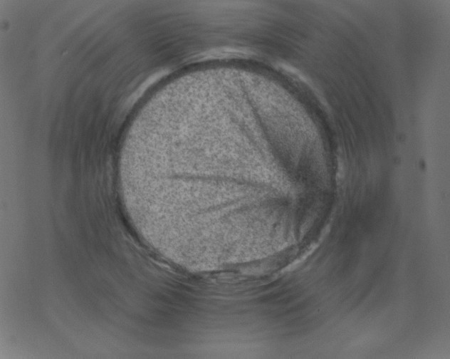 X0000078301313200612011825