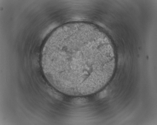 X0000078301314200612011825