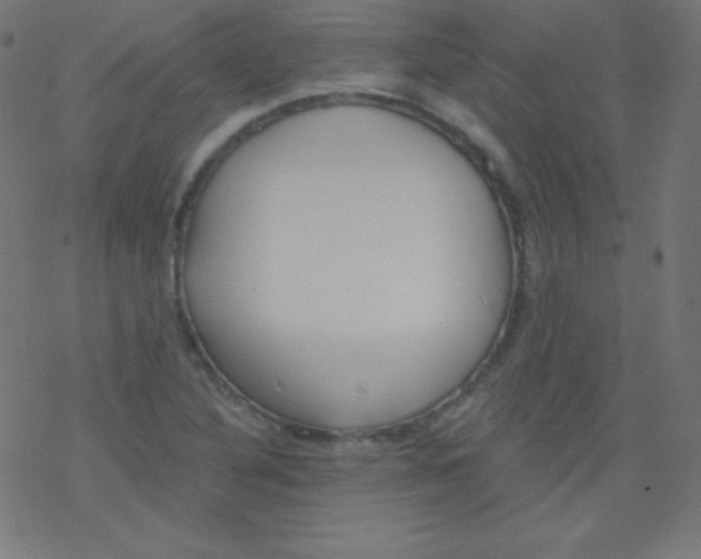 X0000078301316200612011825