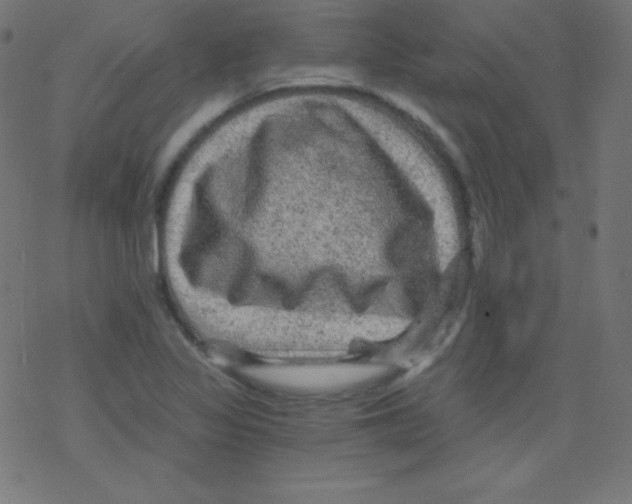 X0000078301317200612011825