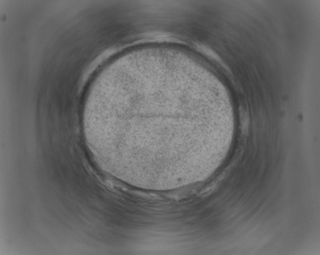 X0000078301318200612011825