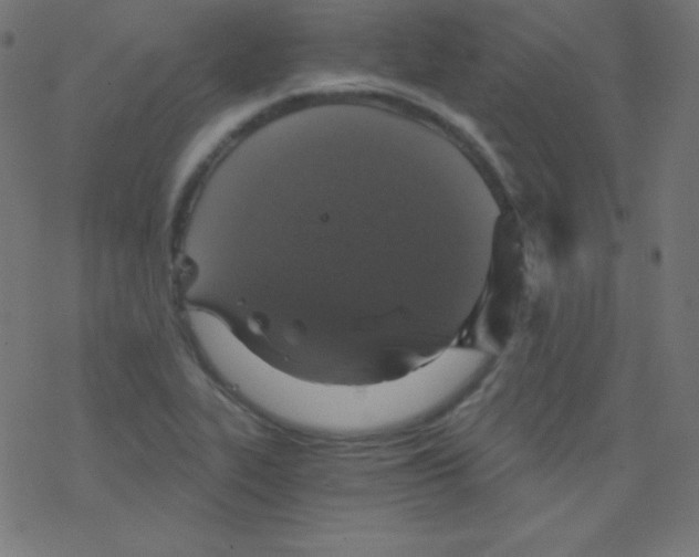 X0000078301319200612011825