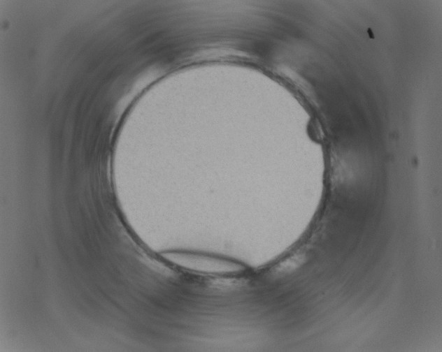 X0000078301322200612011825