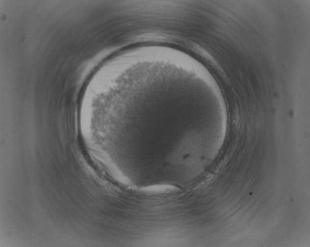 X0000078301323200612011825