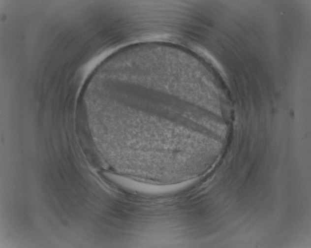 X0000078301324200612011825