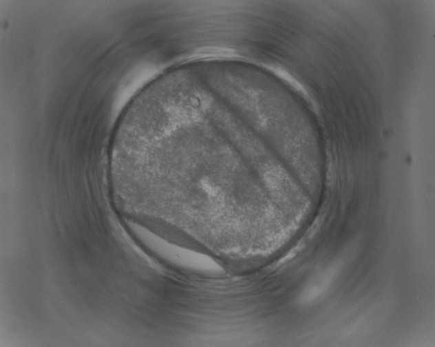 X0000078301325200612011825