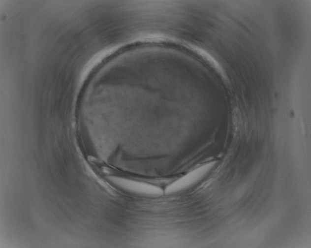 X0000078301327200612011825