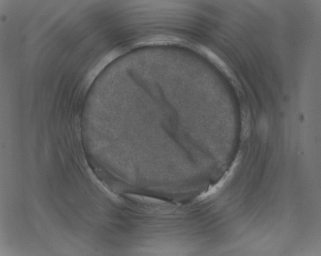 X0000078301329200612011825