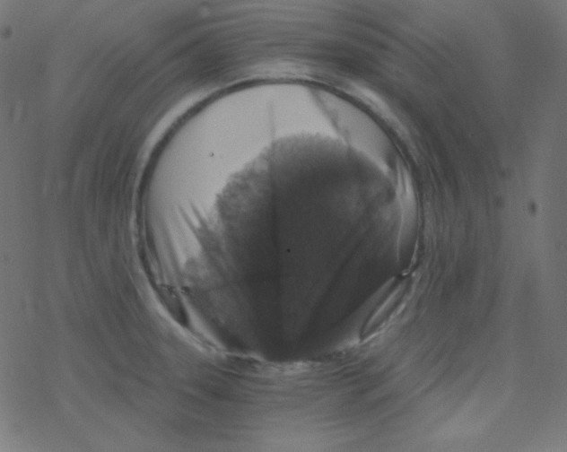 X0000078301331200612011825