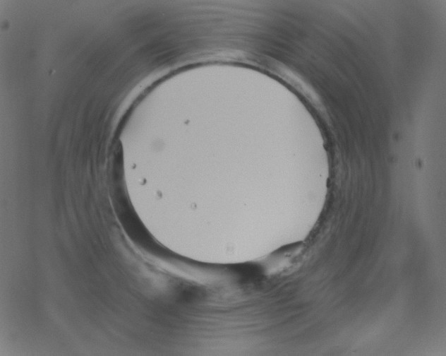 X0000078301332200612011825