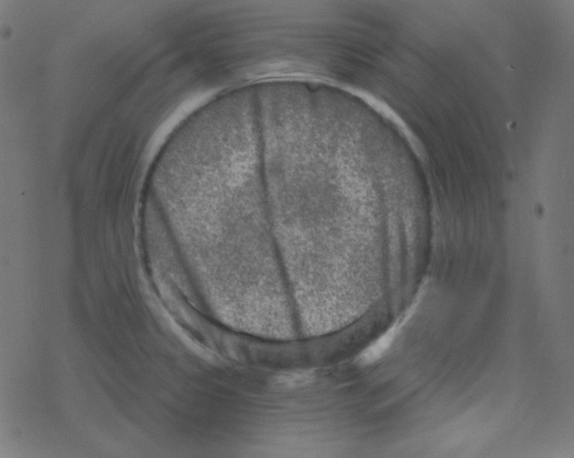 X0000078301333200612011825