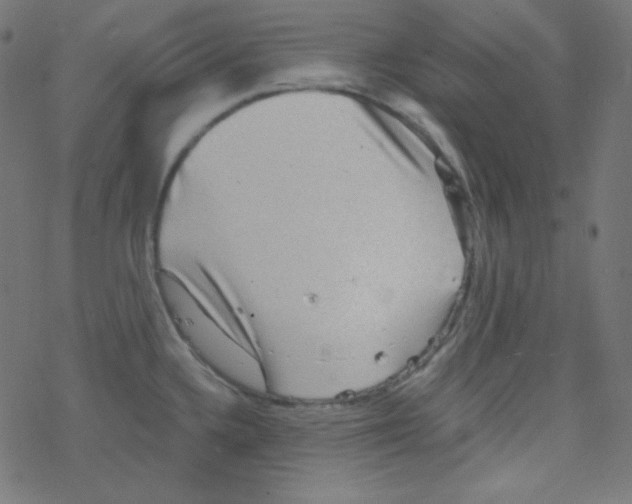 X0000078301336200612011825