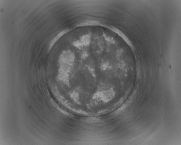 X0000078301337200612011825