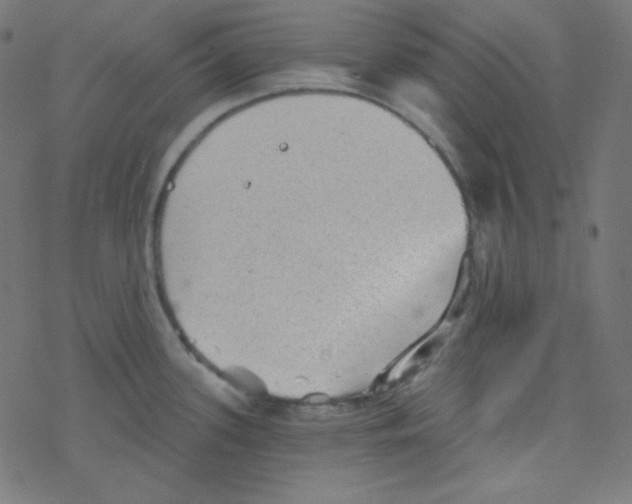 X0000078301339200612011825