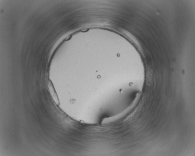 X0000078301340200612011825