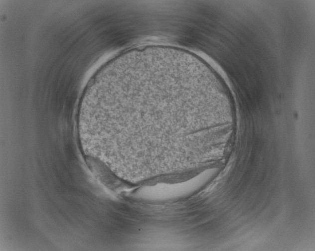 X0000078301341200612011825