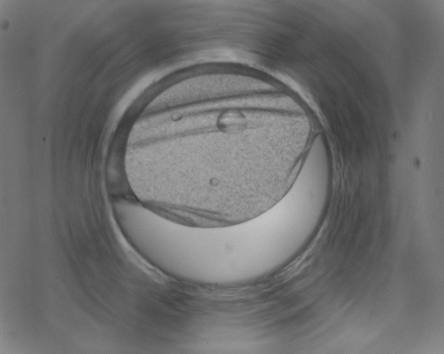 X0000078301342200612011825