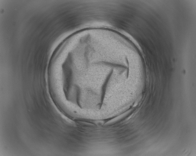 X0000078301343200612011825