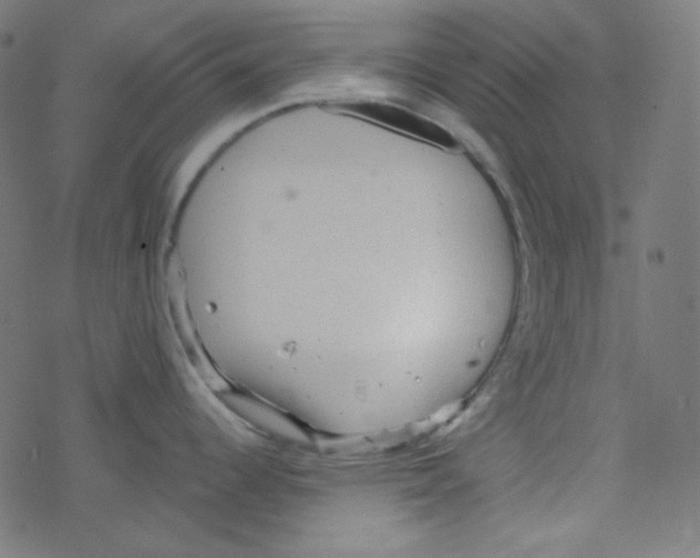 X0000078301344200612011825