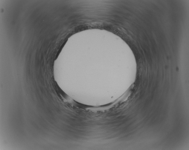 X0000078301345200612011824