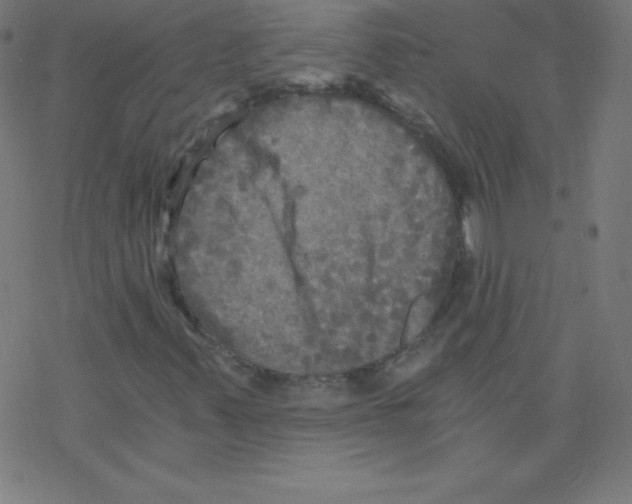 X0000078301347200612011824