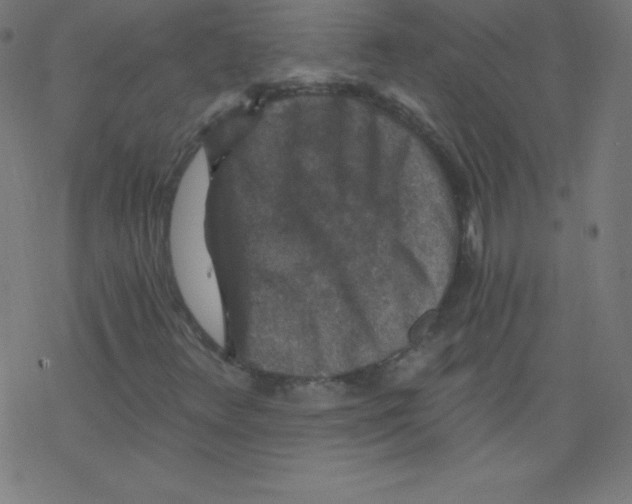 X0000078301348200612011824