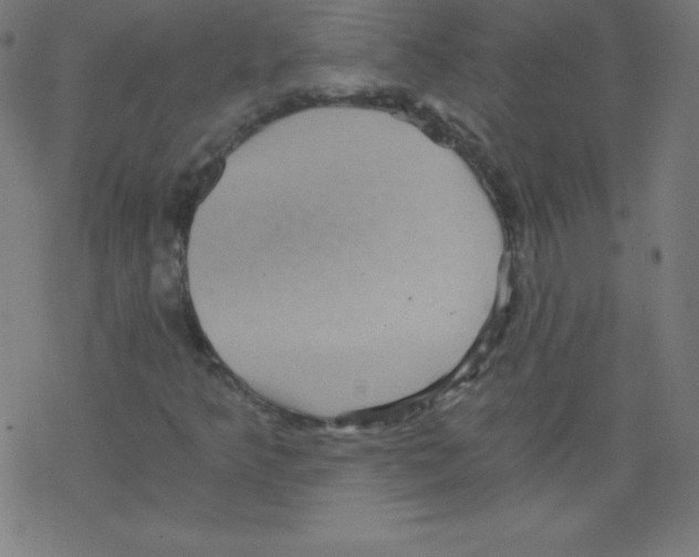 X0000078301349200612011824