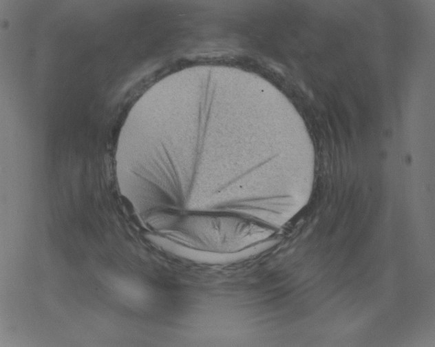 X0000078301350200612011824