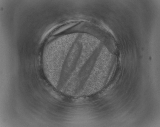 X0000078301352200612011824