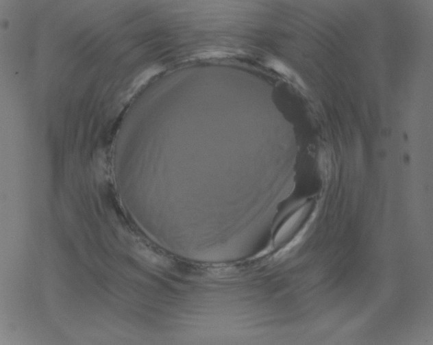 X0000078301353200612011824