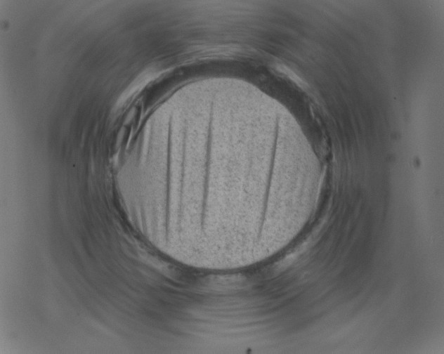 X0000078301354200612011824