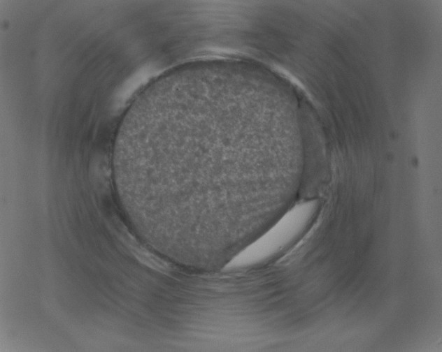 X0000078301355200612011824