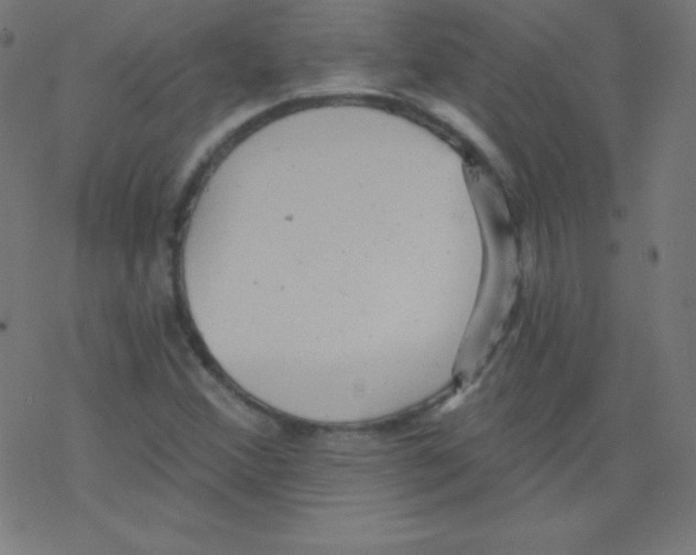 X0000078301356200612011824