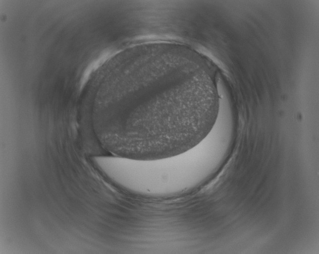 X0000078301357200612011824