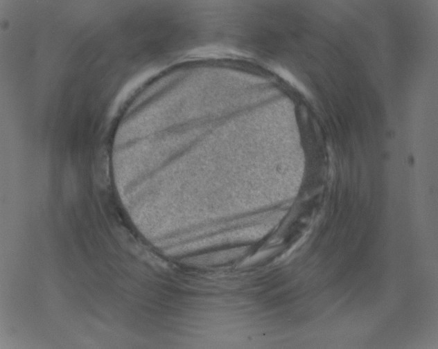 X0000078301358200612011824