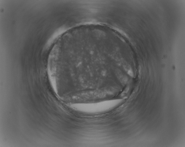 X0000078301359200612011824