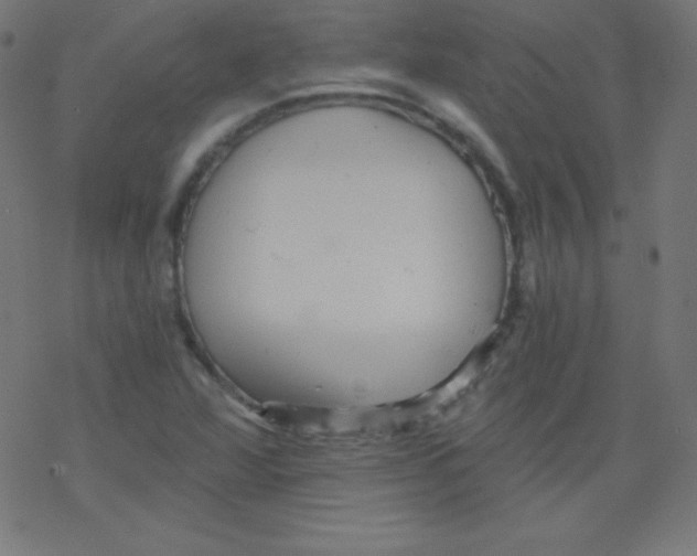 X0000078301360200612011824