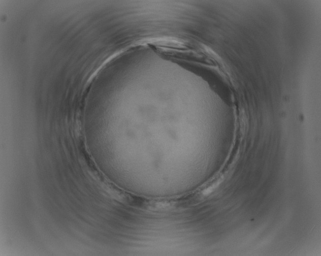 X0000078301361200612011824