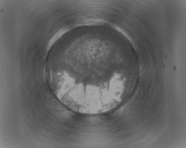 X0000078301362200612011824