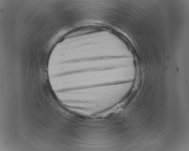 X0000078301363200612011824